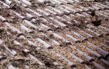 Llanwrtyd Wells roof cleaning companies